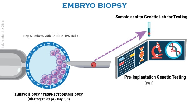 Embryo biopsy technique