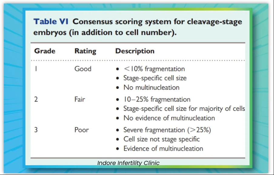 Consensus scoring system for cleavage-stage embryos