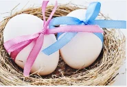 Egg Donation Treatment