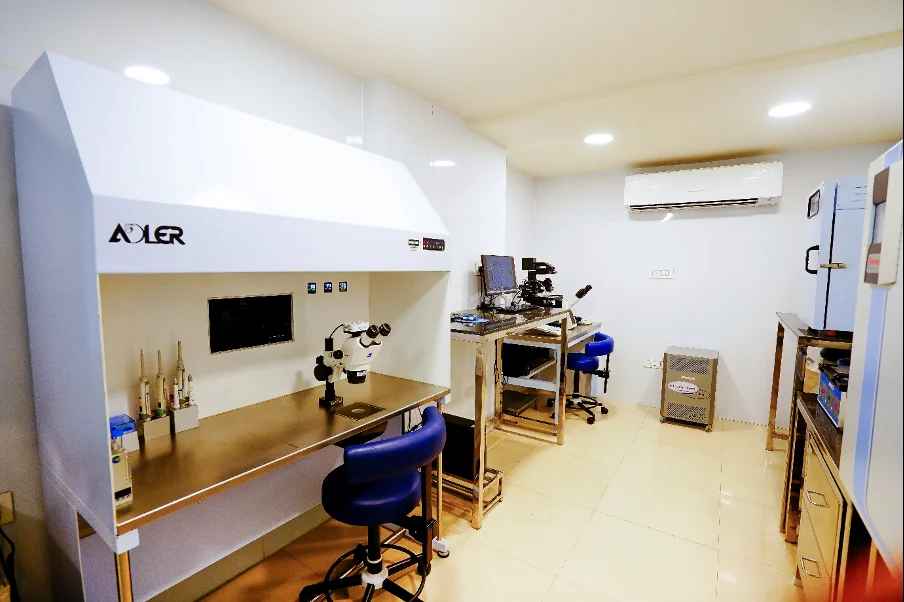 Embryology workstation with laminar flow hood and stereo microscope