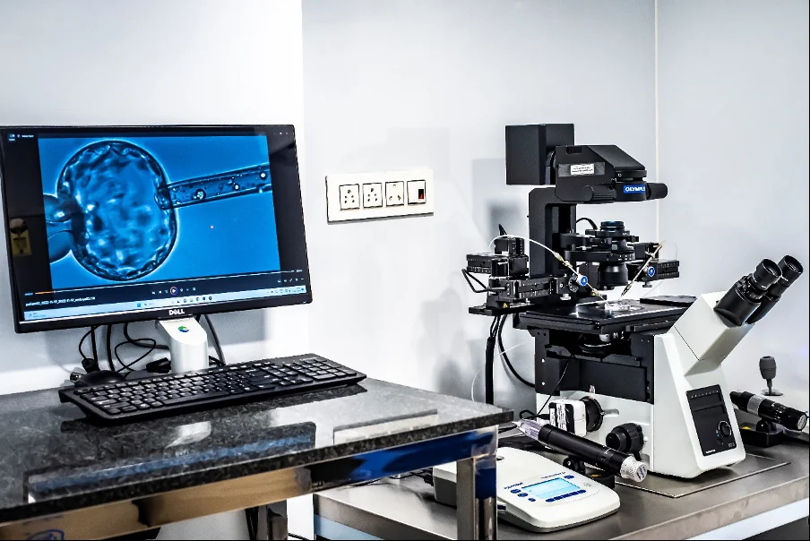 Inverted microscope with micromanipulators and a monitor showing an embryo