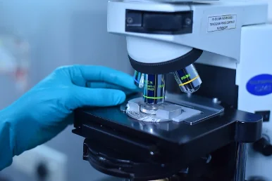 Phase contrast microscope objective with a gloved hand