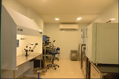 Overview of the IVF lab
