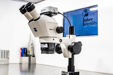 Stereo microscope in the IVF lab