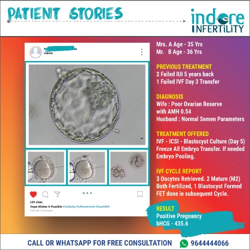 Patient story with low AMH and a single frozen blastocyst