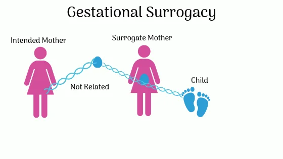 Medical evaluation for surrogacy